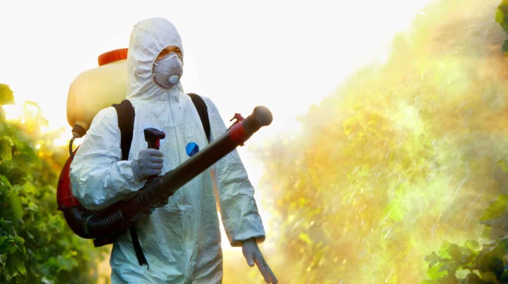 הדברת מזיקים