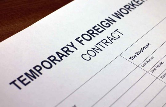 חיפוש עובדים זמניים2